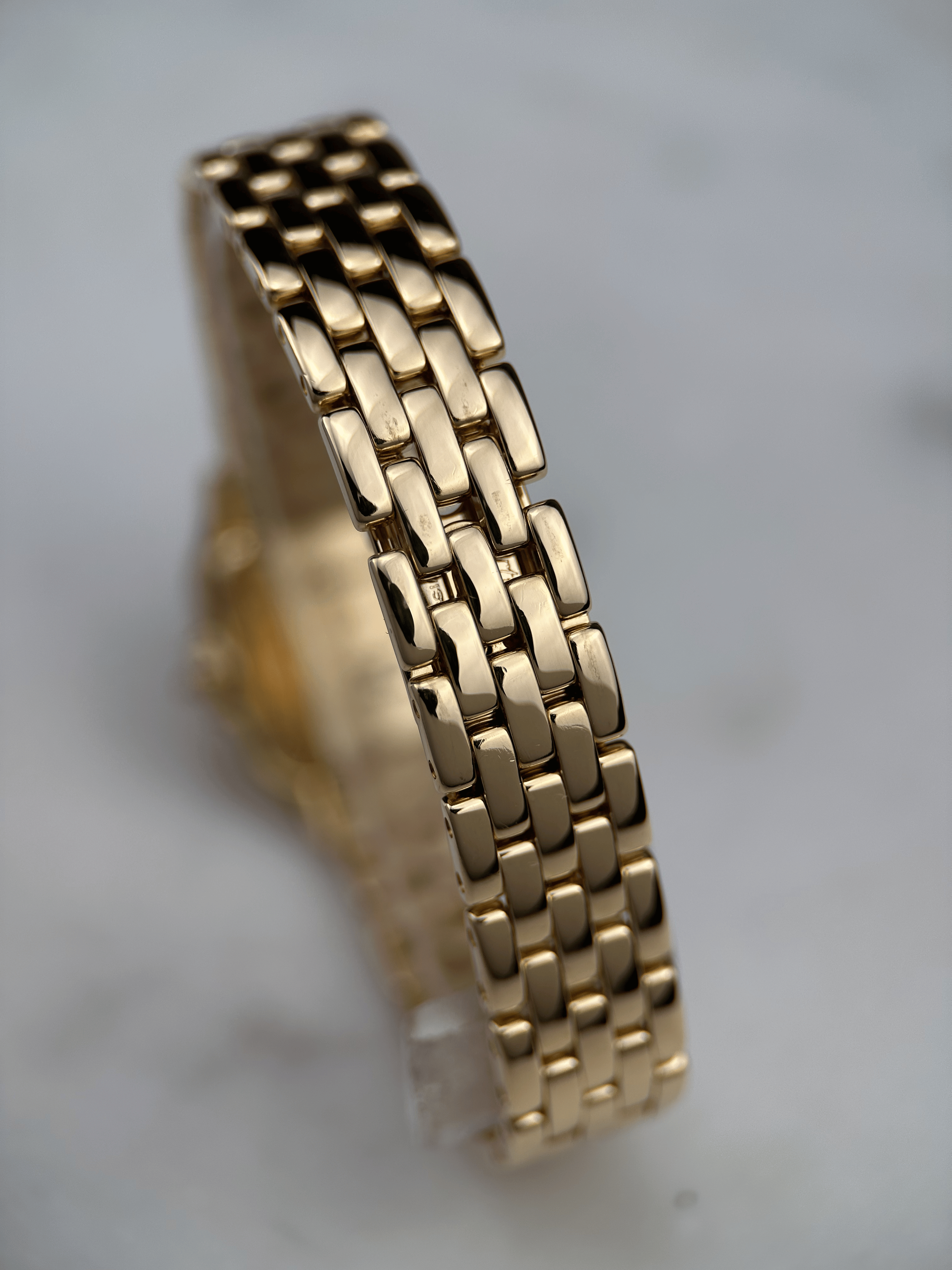 Cartier Panthere 18K Factory Diamond 8669191 Service Papiere