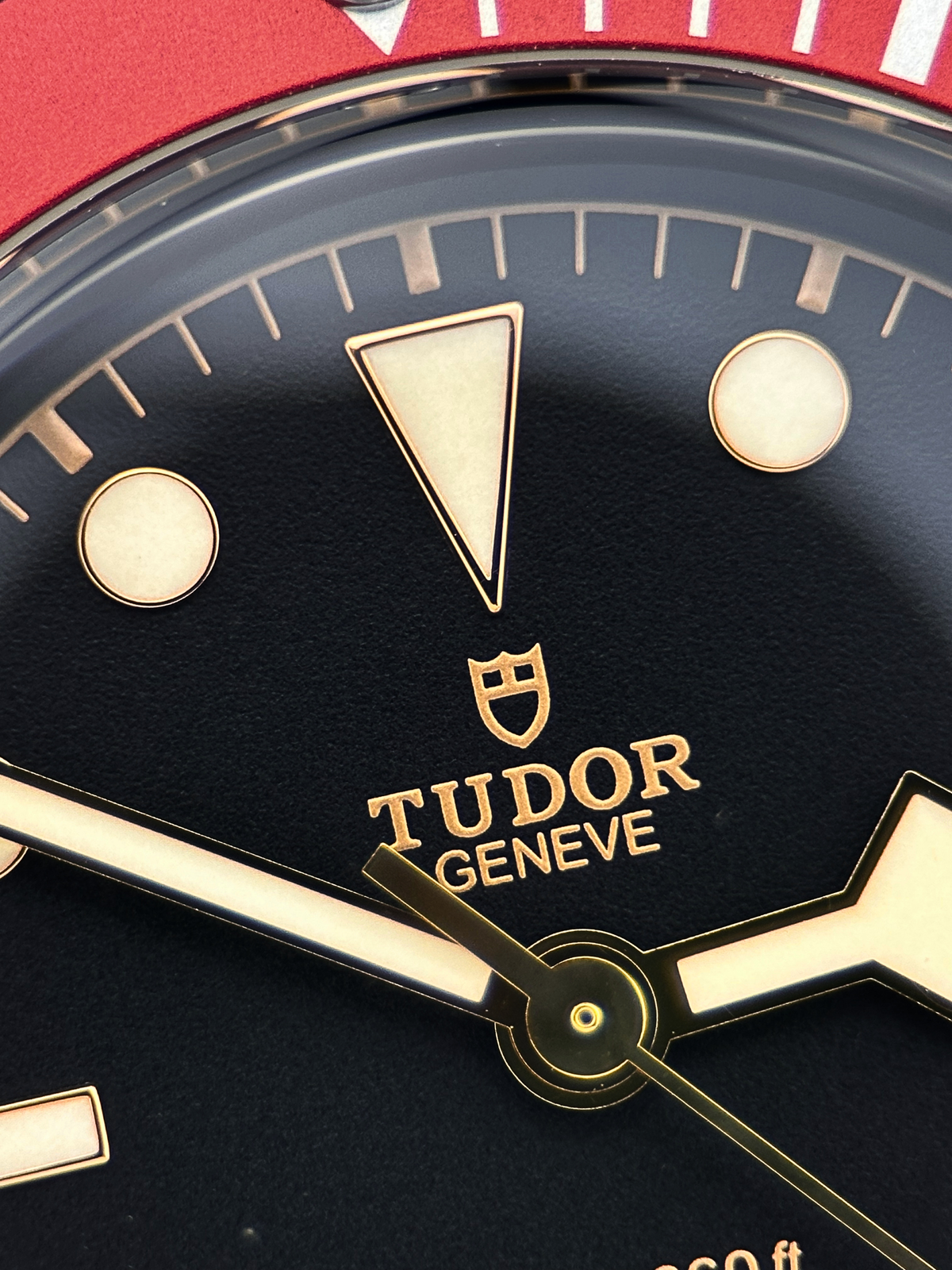 Tudor Black Bay 41 Rot 79230R Fullset 2021