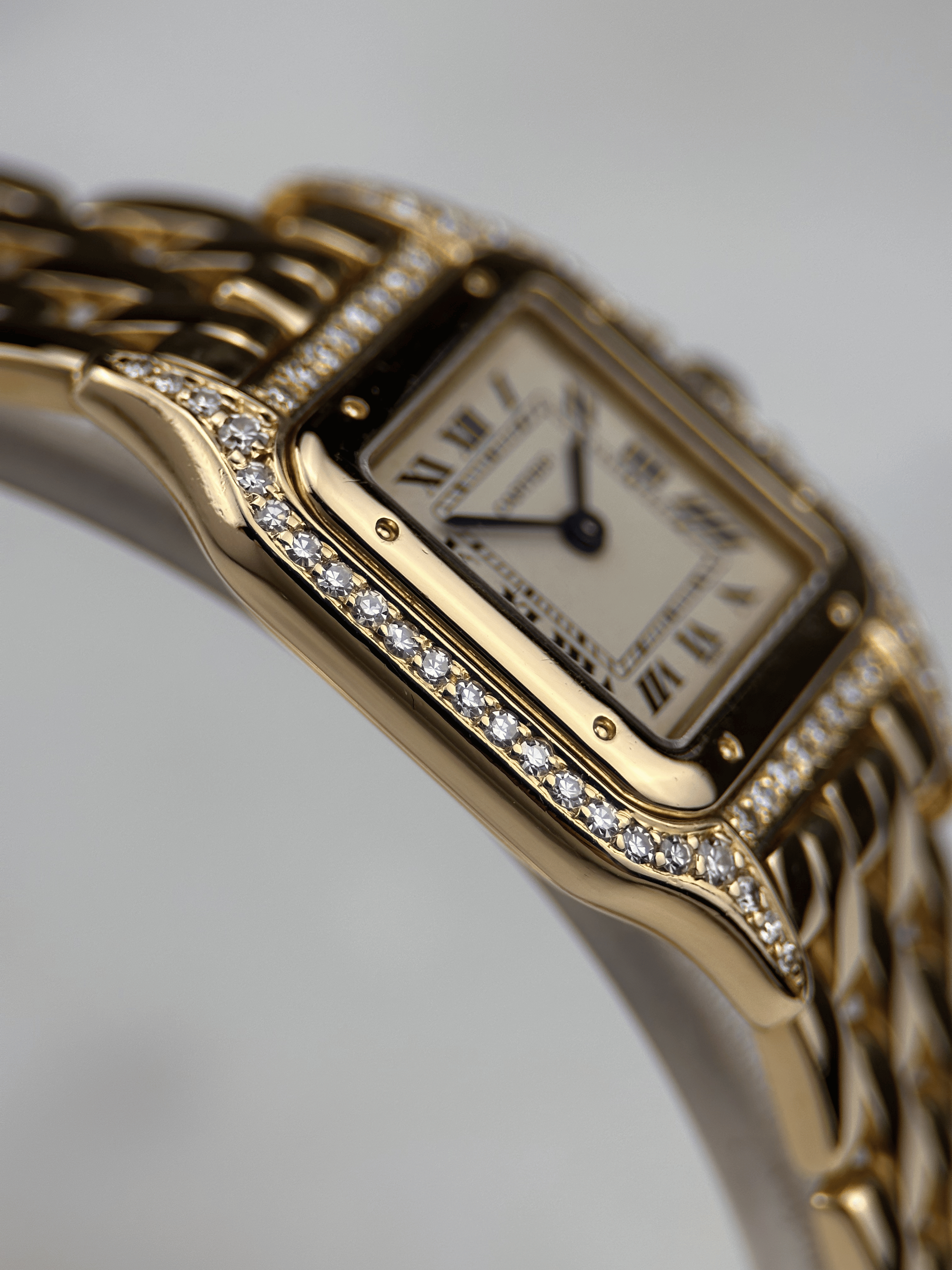 Cartier Panthere 18K Factory Diamond 8669191 Service Papiere